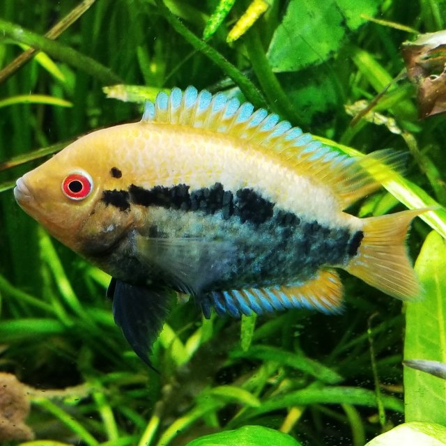 IMG_20201001_153101_601.jpg IMG_20201001_153101_601.jpg