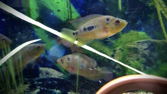 03EEF540-0B70-40EC-A01A-8AAB710D55A4.jpeg