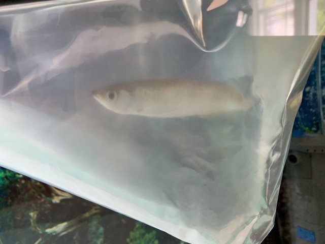 0B80DDA6-7900-475E-AC8C-DFCD72BBC3EB.jpeg 0B80DDA6-7900-475E-AC8C-DFCD72BBC3EB.jpeg