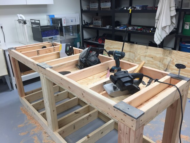 IMG_6416.JPG IMG_6416.JPG