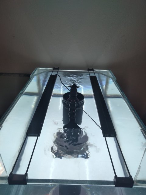 20210409_145658.jpg