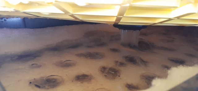 20210413_165557.jpg 20210413_165557.jpg