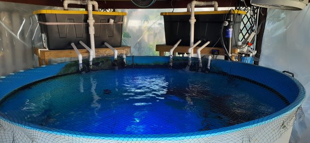 20210413_165442.jpg 20210413_165442.jpg