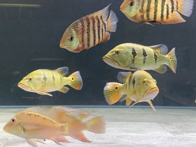 20210414_031344204_iOS.jpg
