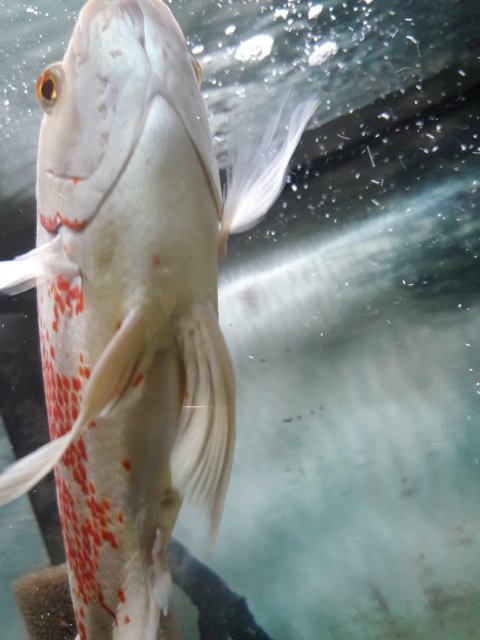 20171221_010659.jpg 20171221_010659.jpg