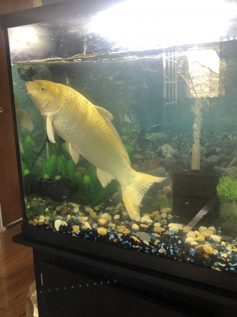 IMG_4013.jpeg IMG_4013.jpeg