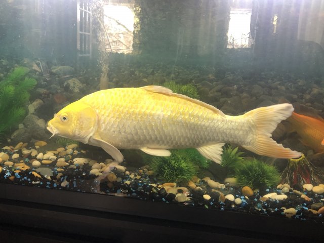 IMG_4010.jpeg IMG_4010.jpeg