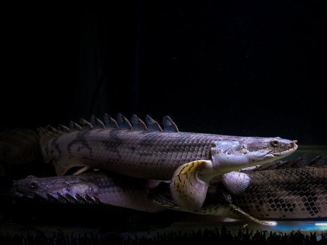5D100791-E27D-457E-BCCB-33687B9A78A6.jpeg