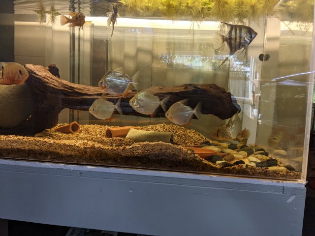 PXL_20210419_225213117.jpg