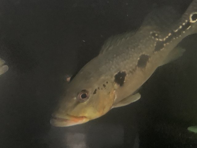 20210420_015930959_iOS.jpg