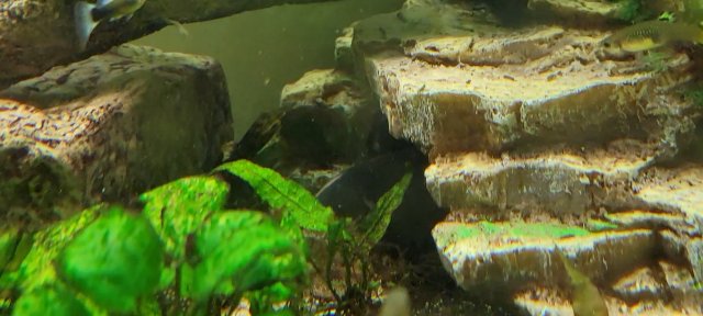 Screenshot_20210420-003812_Video Player.jpg