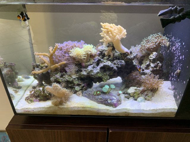 B3938B5A-DCE6-41A4-AC02-FE590F1FEB70.jpeg B3938B5A-DCE6-41A4-AC02-FE590F1FEB70.jpeg