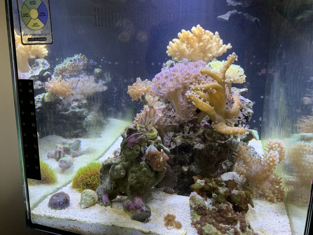 99AA2E6D-1073-4D06-A19C-5C61AA55963F.jpeg 99AA2E6D-1073-4D06-A19C-5C61AA55963F.jpeg