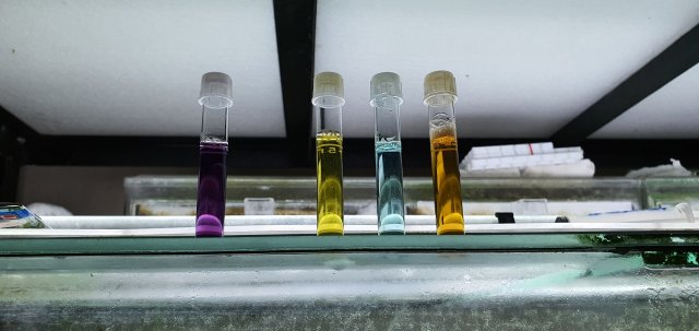 Test Kit.jpg