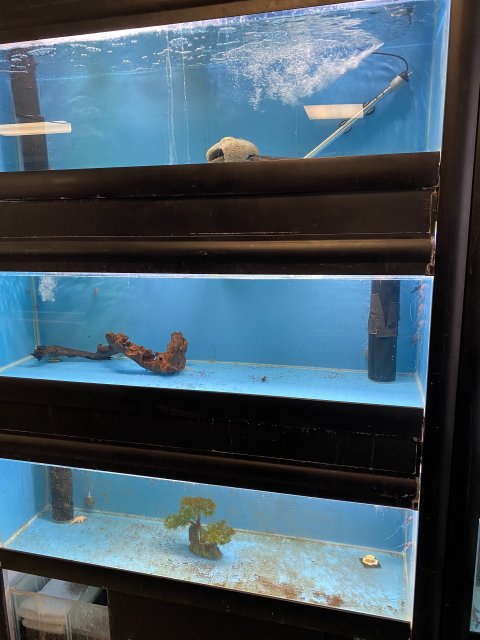 20C2DA6D-1B0C-4E91-8CCB-A78EF38F8428.jpeg 20C2DA6D-1B0C-4E91-8CCB-A78EF38F8428.jpeg