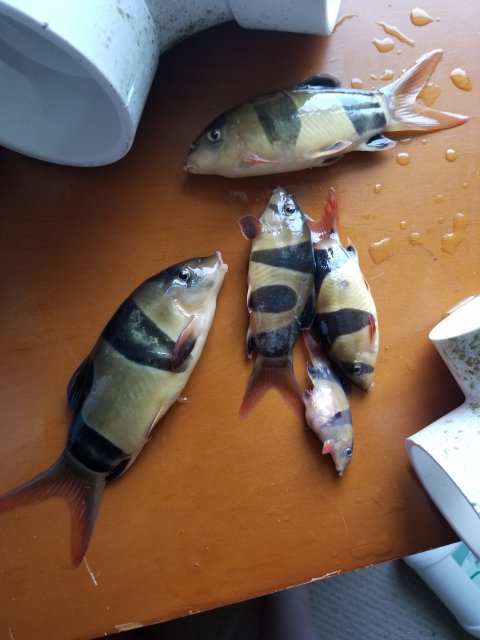 20210422_145516.jpg 20210422_145516.jpg