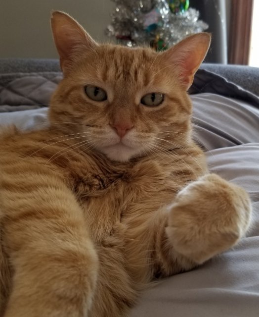 SmartSelect_20210422-220551_Gallery.jpg SmartSelect_20210422-220551_Gallery.jpg