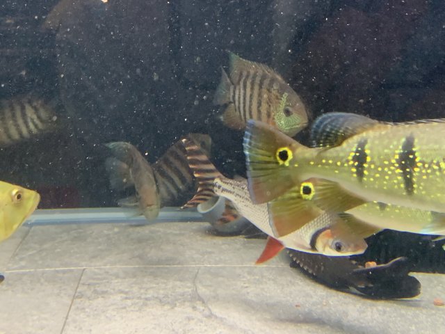 20210423_035309208_iOS.jpg