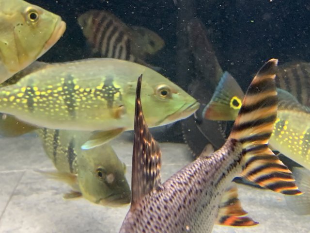 20210423_035315646_iOS.jpg