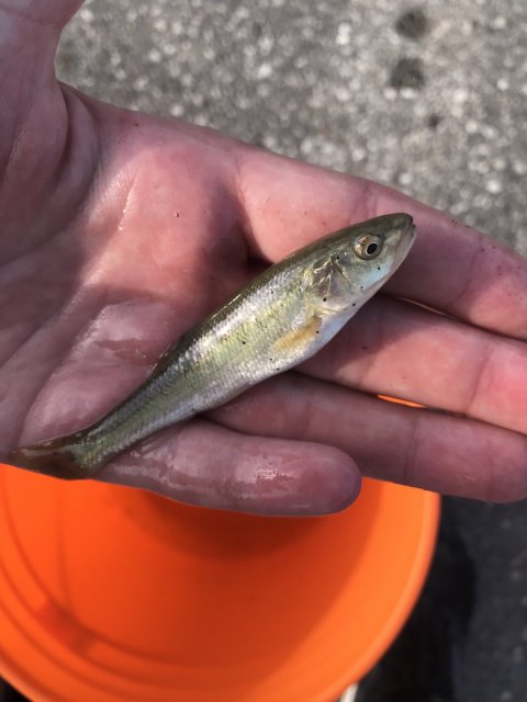 image_67169281.JPG image_67169281.JPG