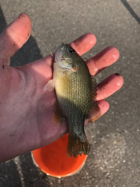 image_67205121.JPG image_67205121.JPG