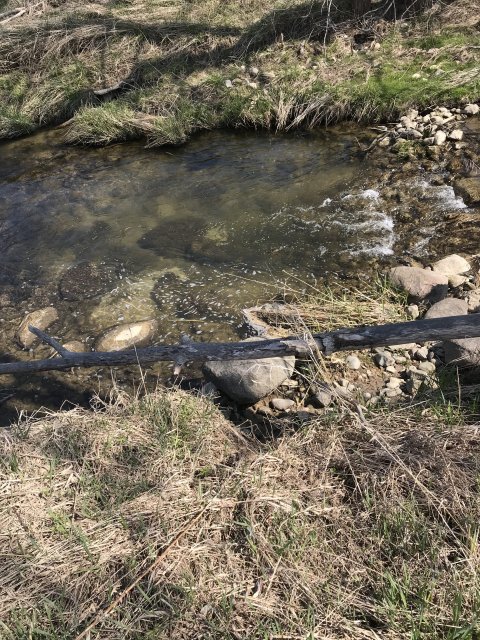 image_67209985.JPG