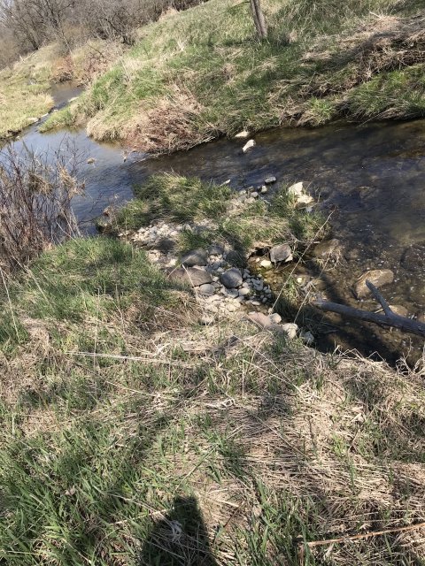 image_67218177.JPG