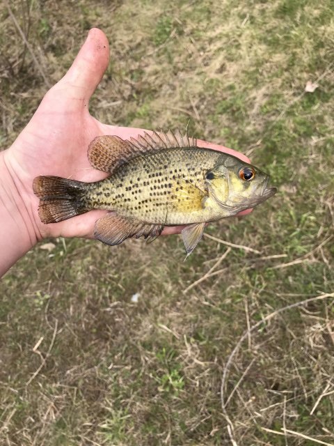image_67225857.JPG
