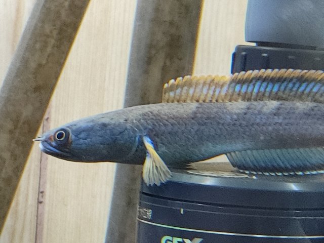 20210425_191208.jpg