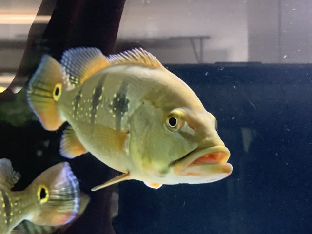 20210425_171725536_iOS.jpg