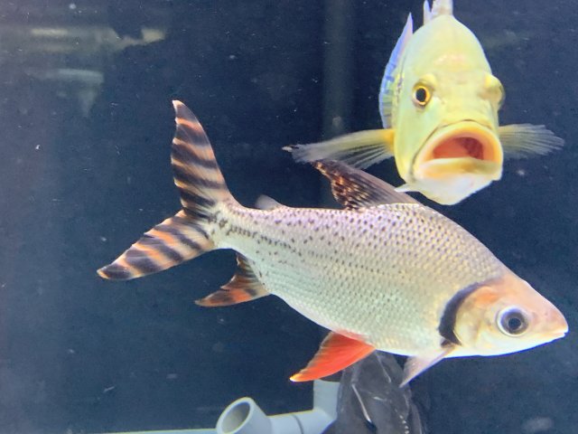 20210425_171745670_iOS.jpg