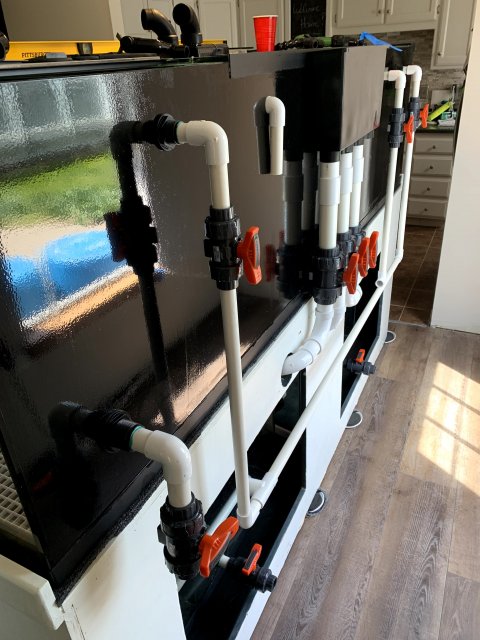 IMG_2109.jpg IMG_2109.jpg