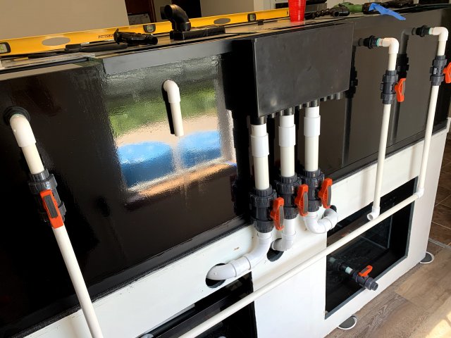 IMG_2110.jpg IMG_2110.jpg