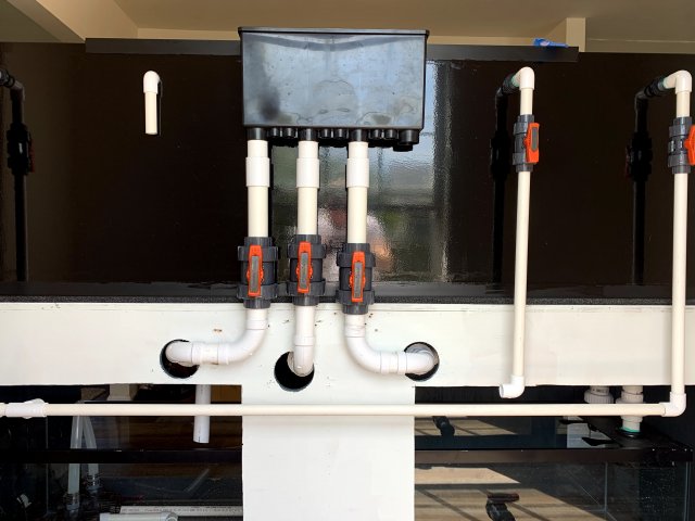 IMG_2111.jpg IMG_2111.jpg