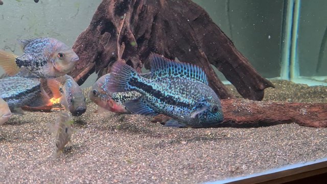 VideoCapture_20201215-203853.jpg