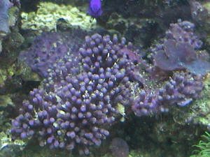 1619728209119.jpeg 1619728209119.jpeg