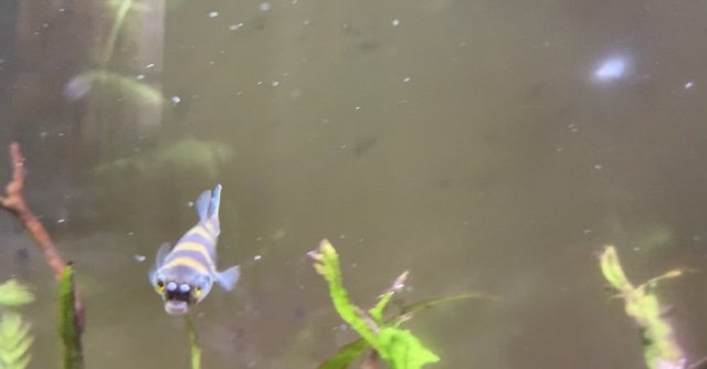 65CD64F3-B6B5-4194-95B0-54642F06E345.jpeg