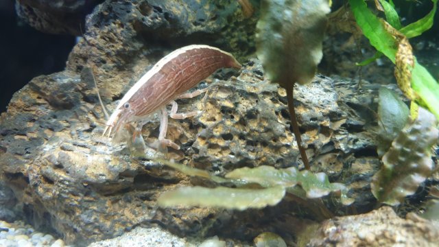 20210120_170909.jpg