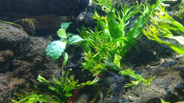 20210120_170940.jpg