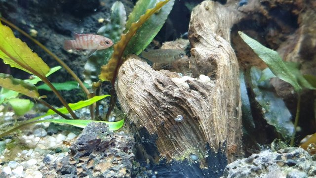 20210122_212912.jpg