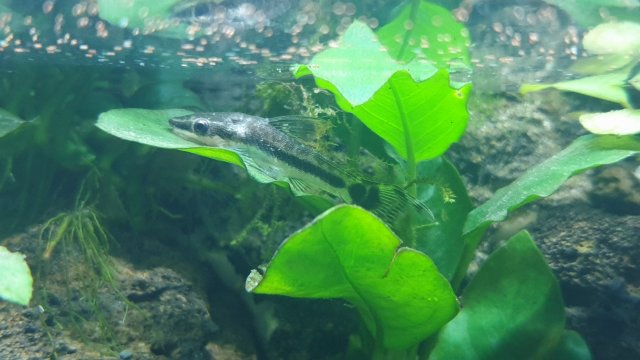 20210225_221928.jpg