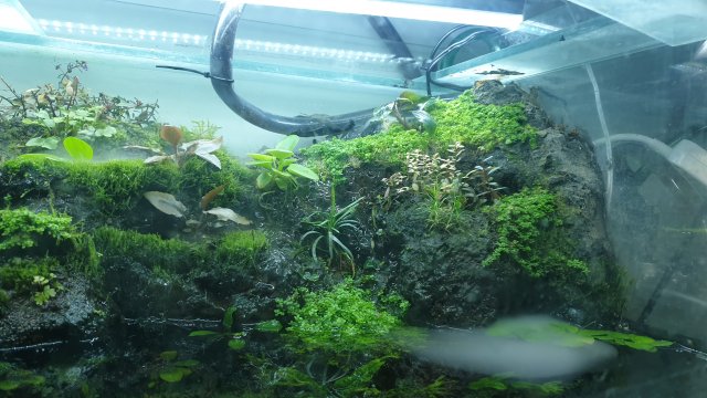 20210322_215540.jpg