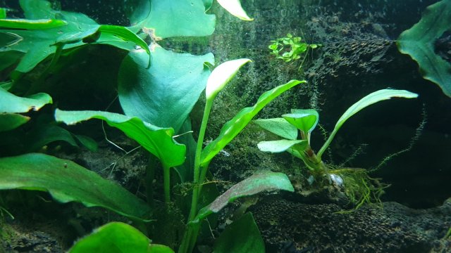 20210329_232945.jpg