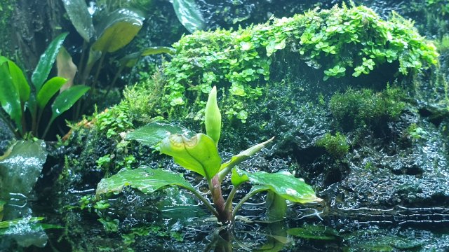 20210428_224328.jpg