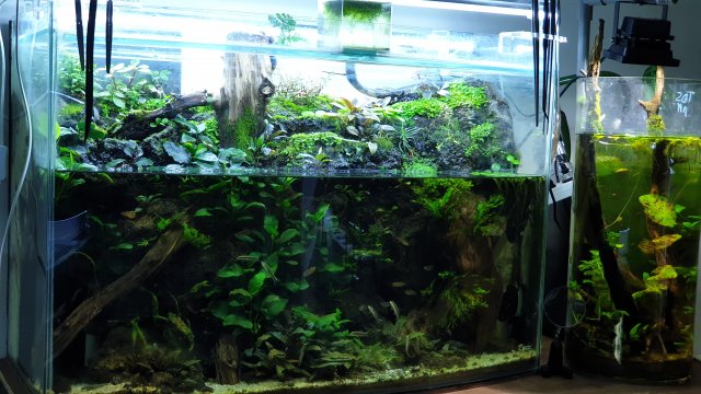 20210430_131434.jpg