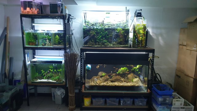 20210430_131334.jpg