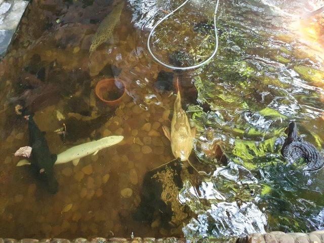 20210220_122753.jpg 20210220_122753.jpg