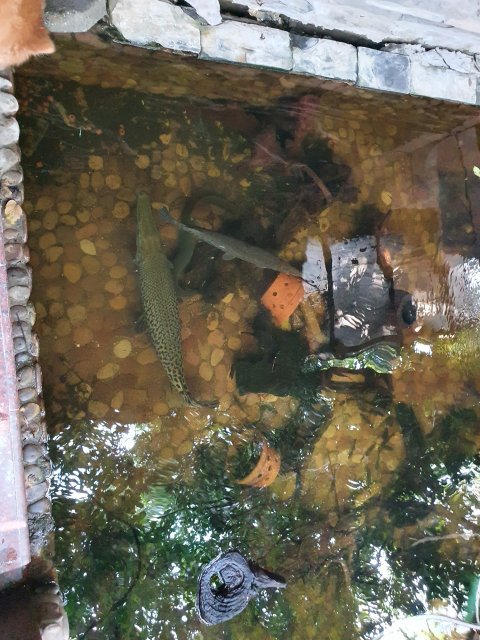 20210115_140103.jpg 20210115_140103.jpg