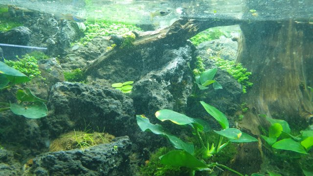 20201020_200324.jpg