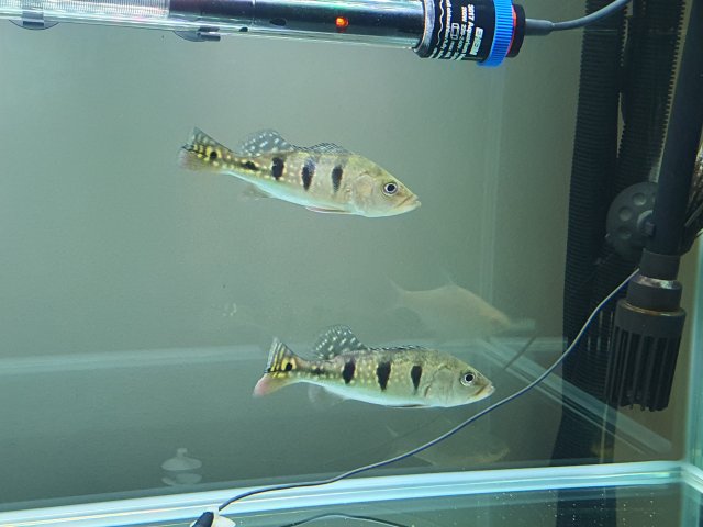 20210503_225300.jpg 20210503_225300.jpg